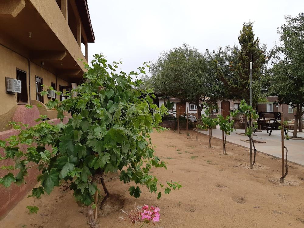 Hotel Meson Del Vino 장크트 고아르스하우젠 외부 사진