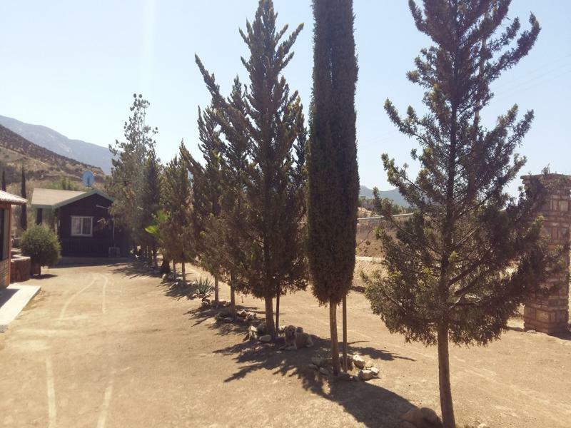 Hotel Meson Del Vino 장크트 고아르스하우젠 외부 사진