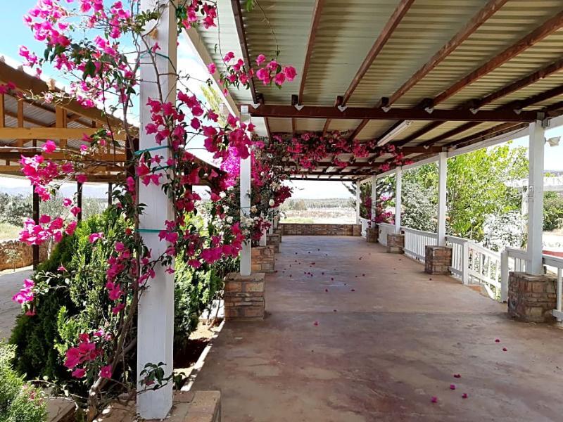Hotel Meson Del Vino 장크트 고아르스하우젠 외부 사진